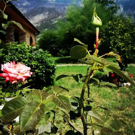 Il Prato *