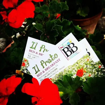 Il Prato Bed & Breakfast